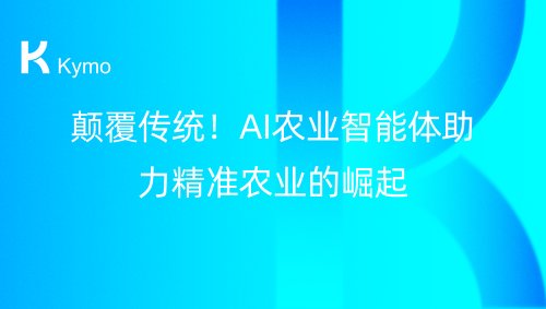 8c729d96aab21a0b
